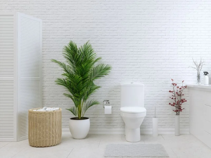 Ưu đãi và khuyến mãi mới nhất tại Thiết Công Interior